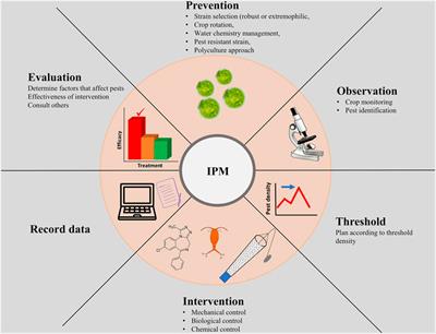 Integration of Algal Biofuels With Bioremediation Coupled Industrial Commodities Towards Cost-Effectiveness